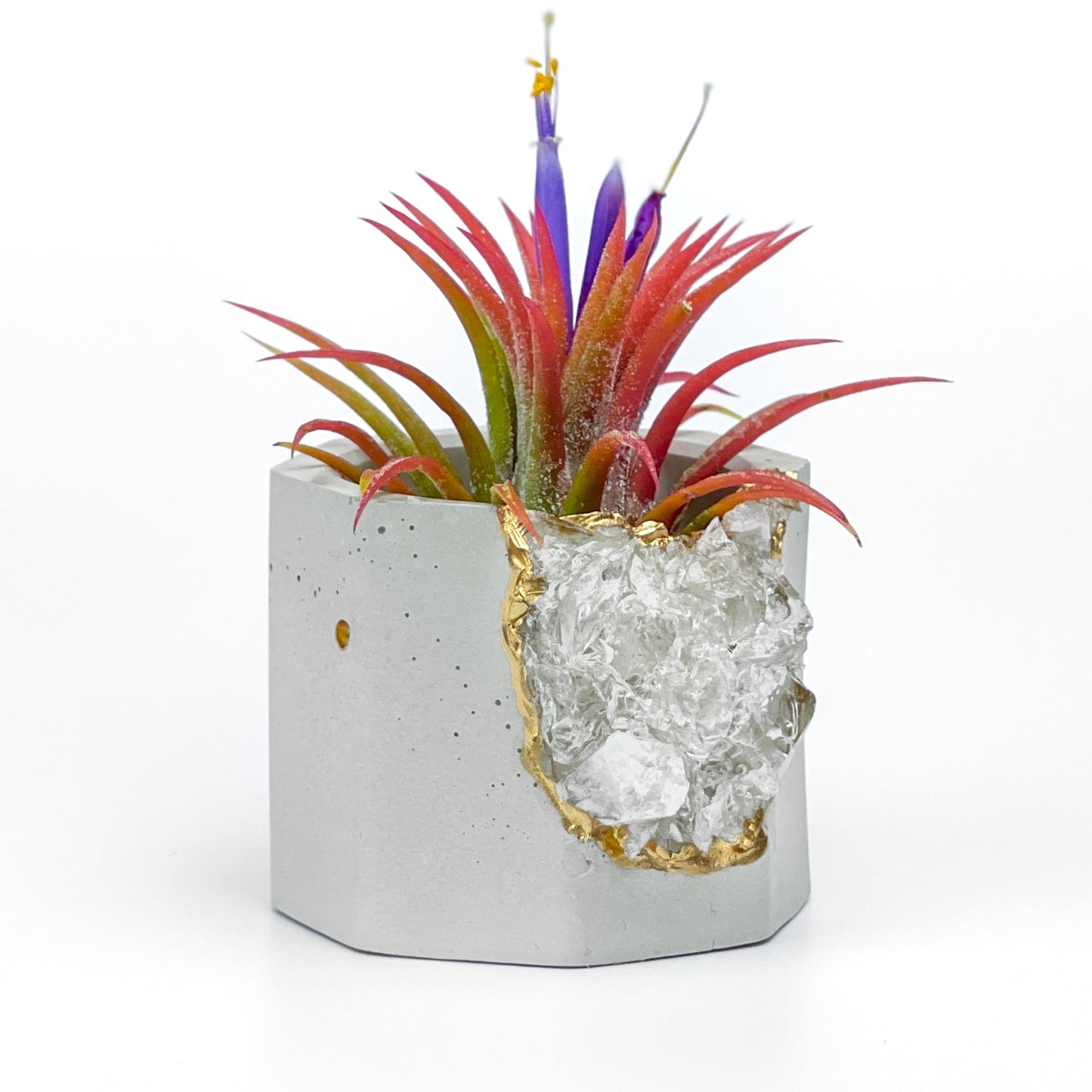 Raw CLEAR QUARTZ GEODE PLANTER - Concordia Style Boutique
