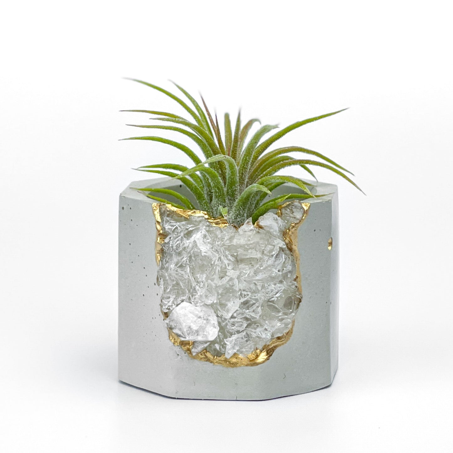 Raw CLEAR QUARTZ GEODE PLANTER - Concordia Style Boutique