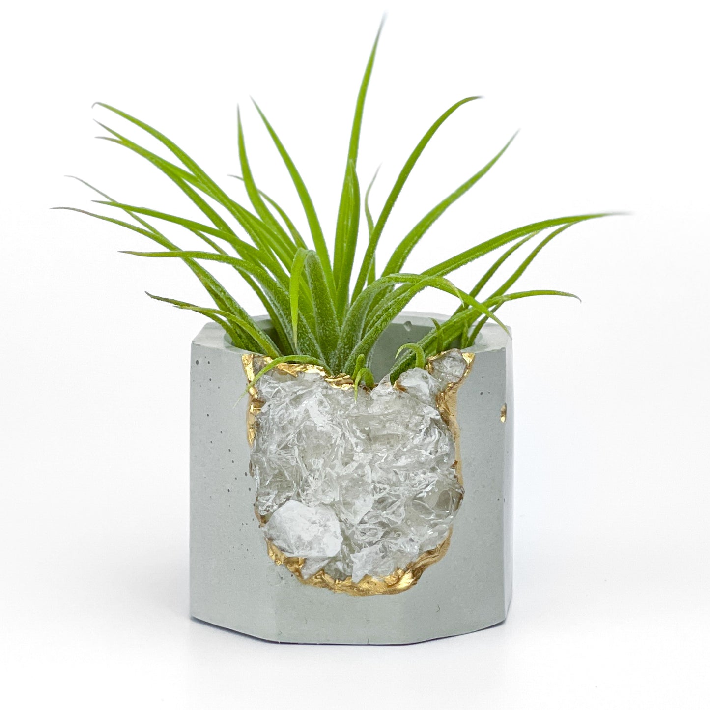Raw CLEAR QUARTZ GEODE PLANTER - Concordia Style Boutique