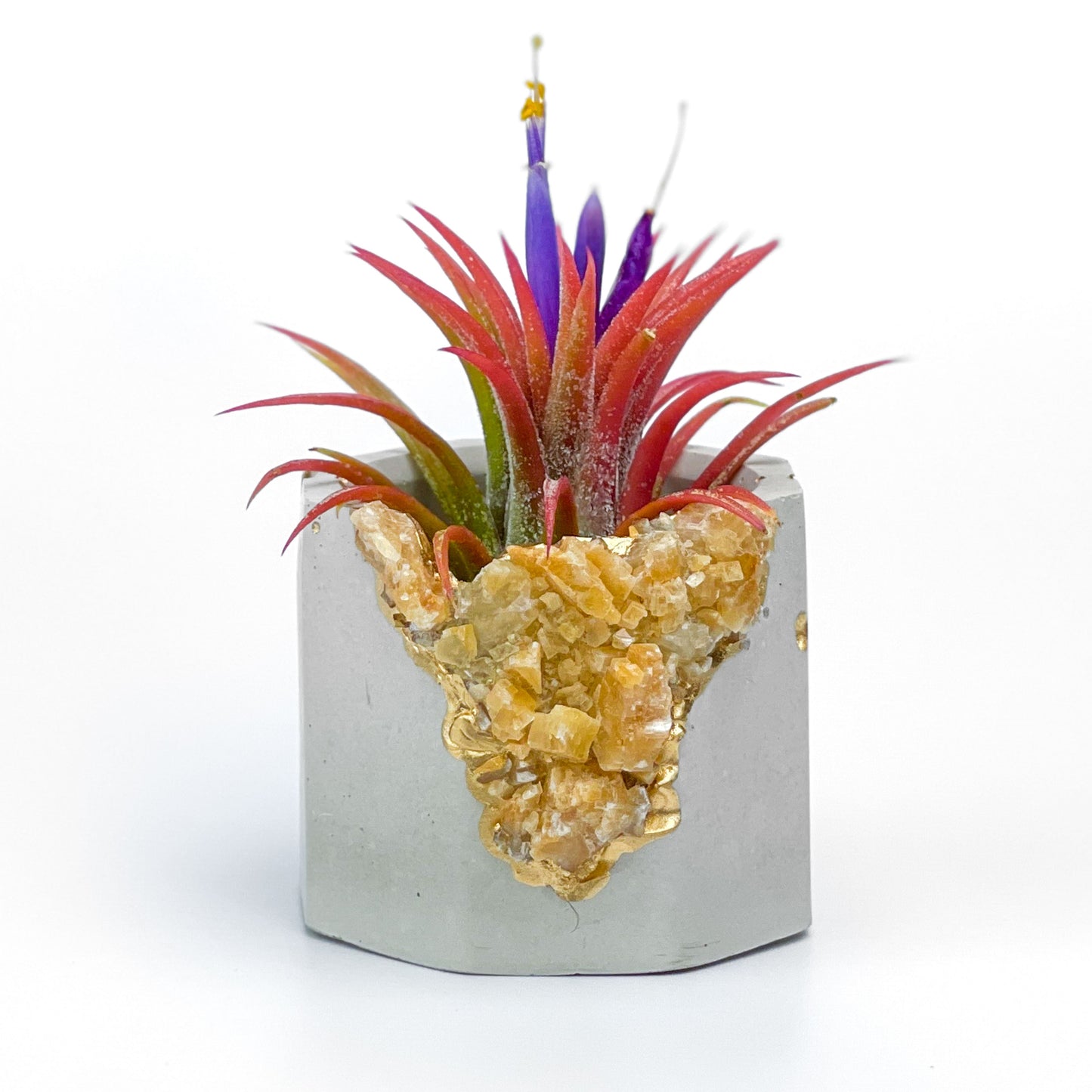 ORANGE CALCITE GEODE PLANTER - Concordia Style Boutique