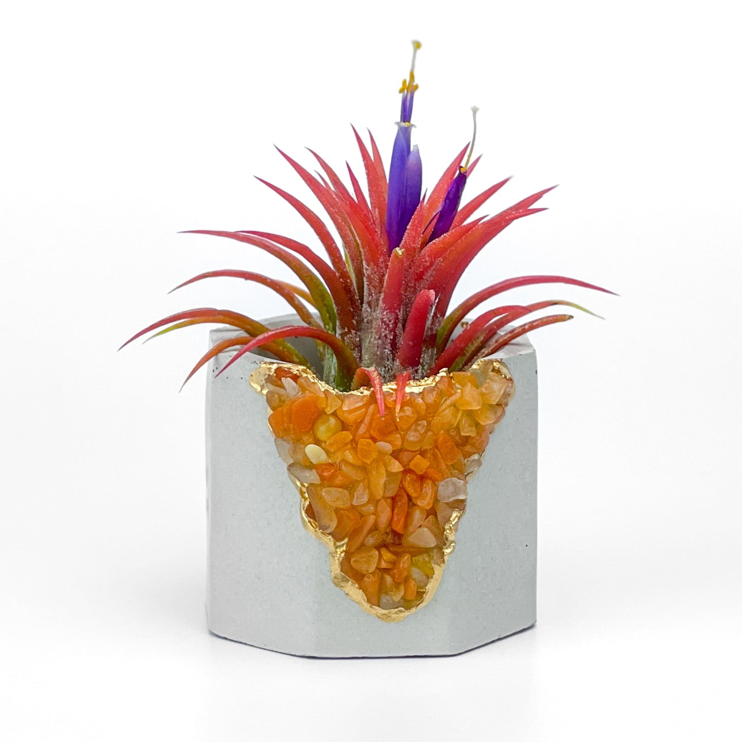 RED AVENTURINE GEODE PLANTER - Concordia Style Boutique