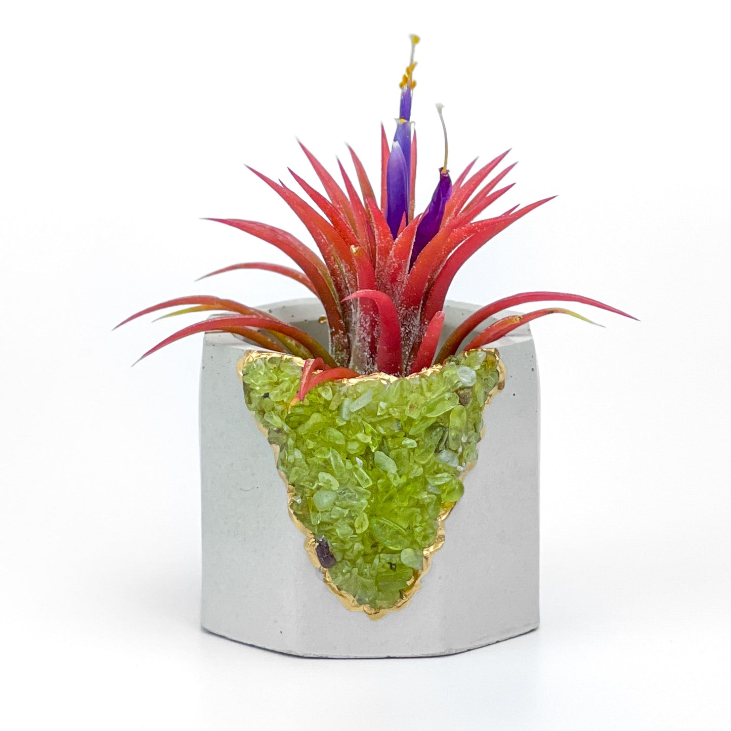 GREEN PERIDOT GEODE PLANTER - Concordia Style Boutique