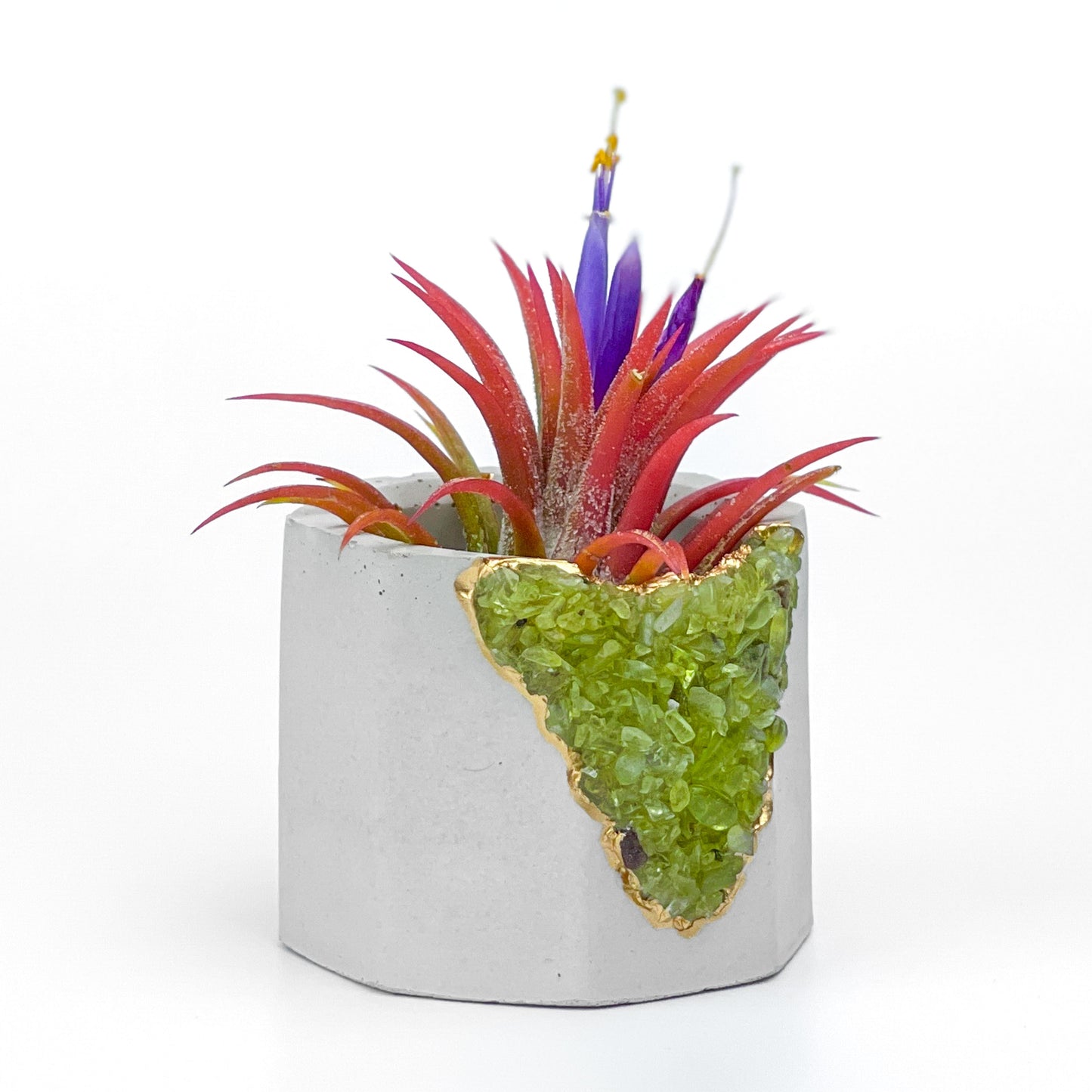 GREEN PERIDOT GEODE PLANTER - Concordia Style Boutique