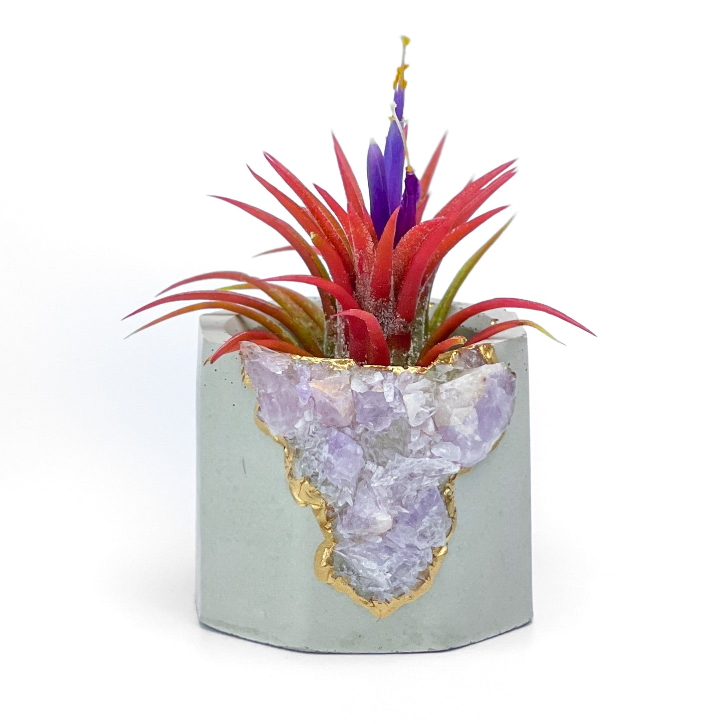 Madagascar AMETHYST GEODE PLANTER - Concordia Style Boutique