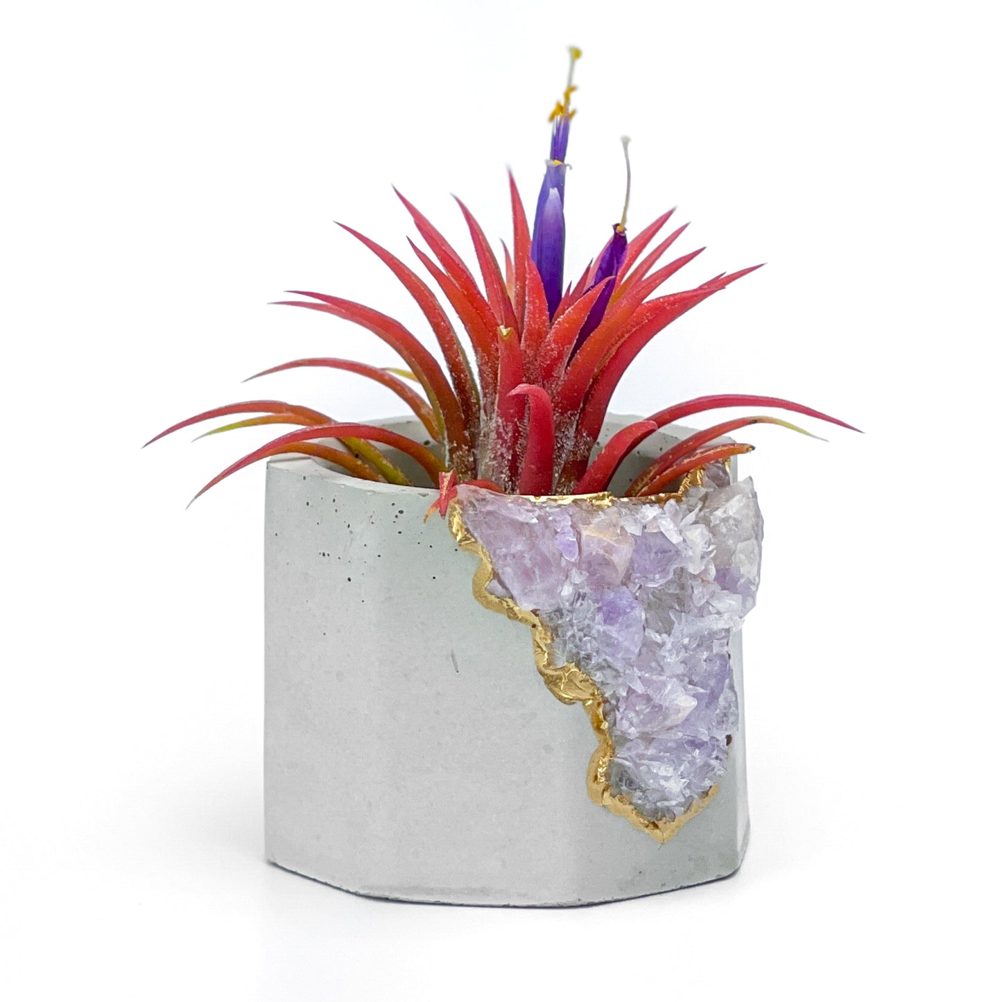 Madagascar AMETHYST GEODE PLANTER - Concordia Style Boutique