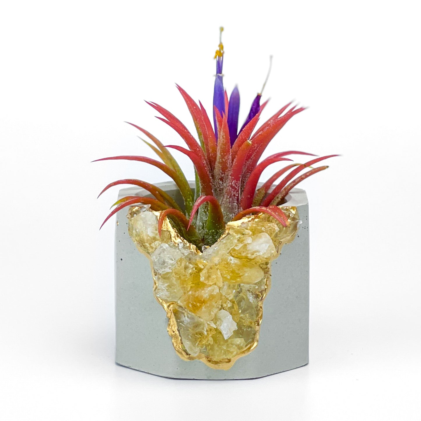 Raw CITRINE GEODE PLANTER - Concordia Style Boutique