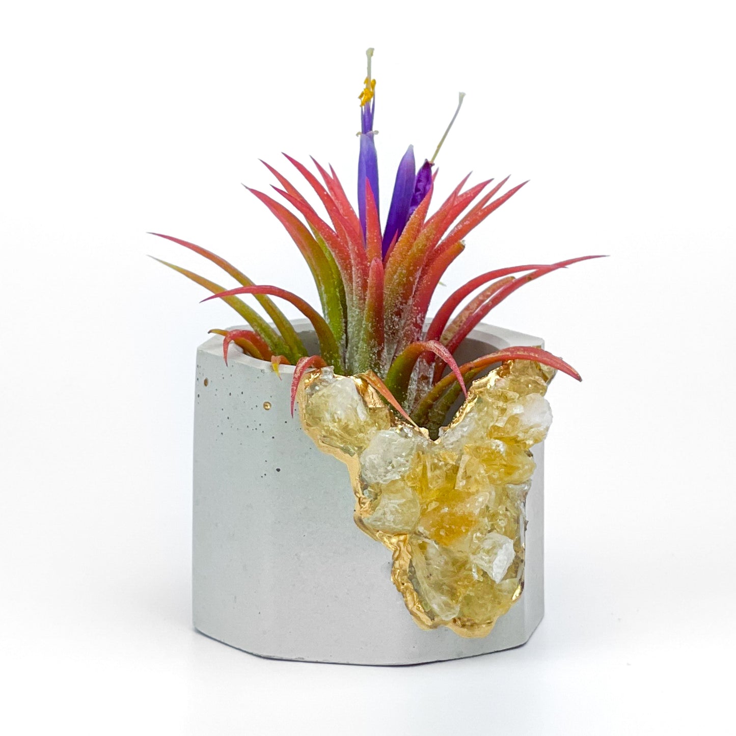 Raw CITRINE GEODE PLANTER - Concordia Style Boutique