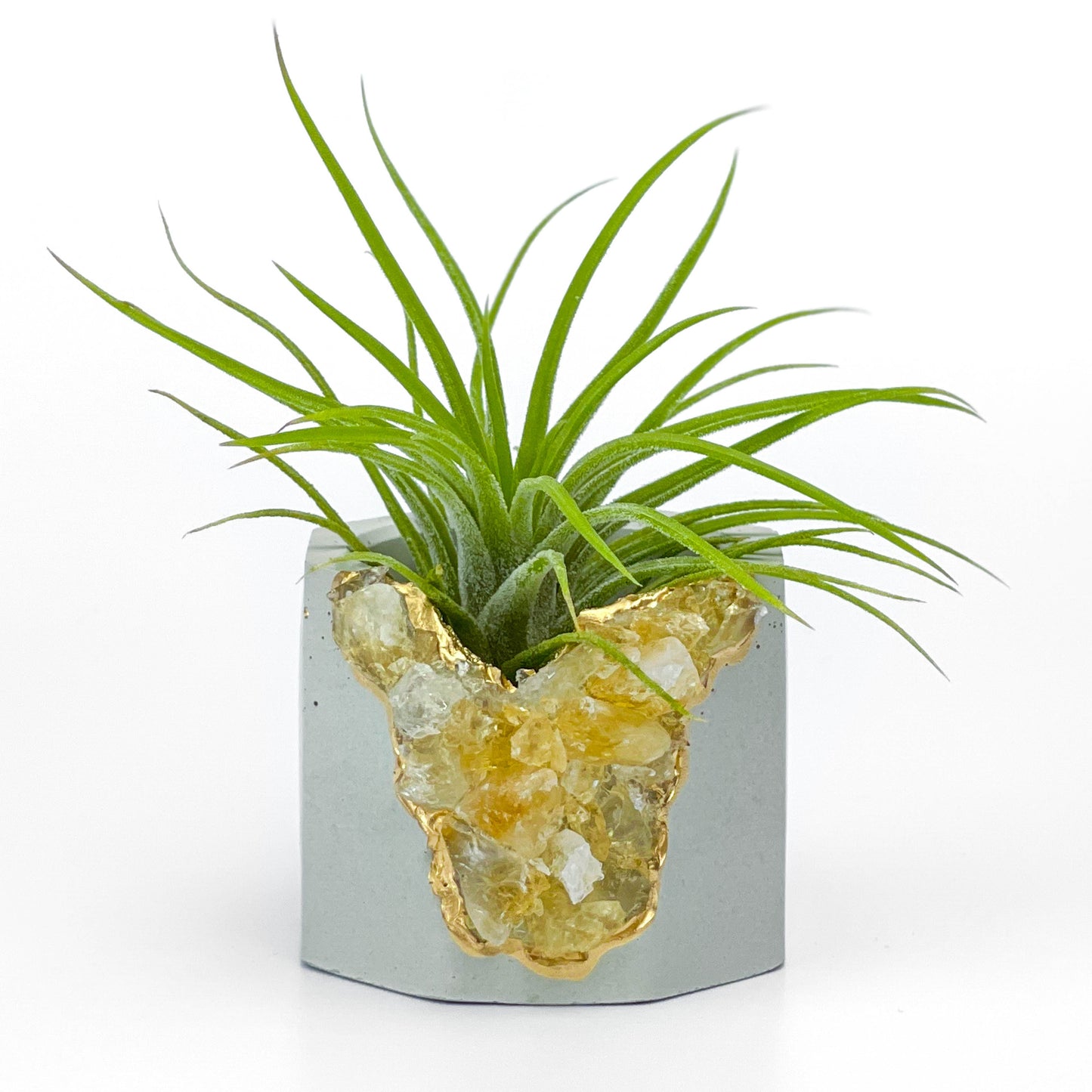 Raw CITRINE GEODE PLANTER - Concordia Style Boutique