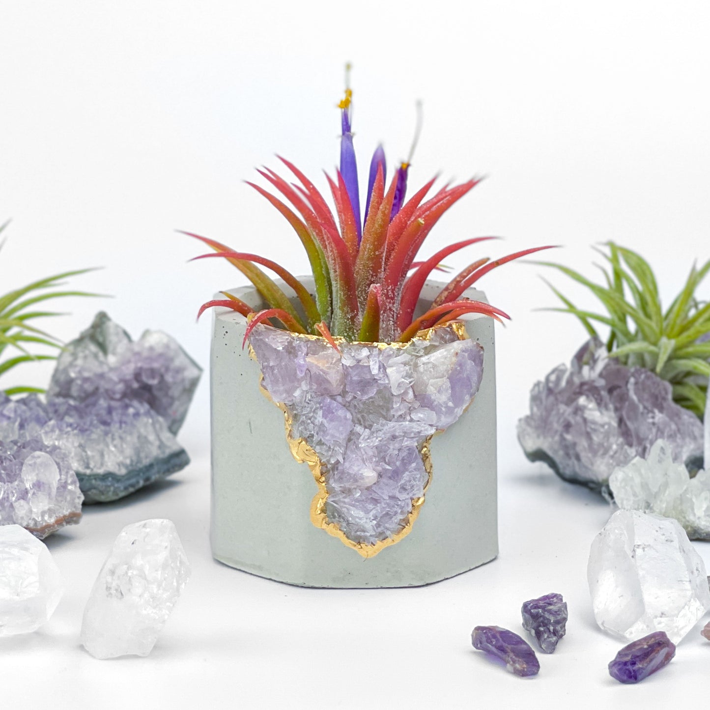 Madagascar AMETHYST GEODE PLANTER - Concordia Style Boutique