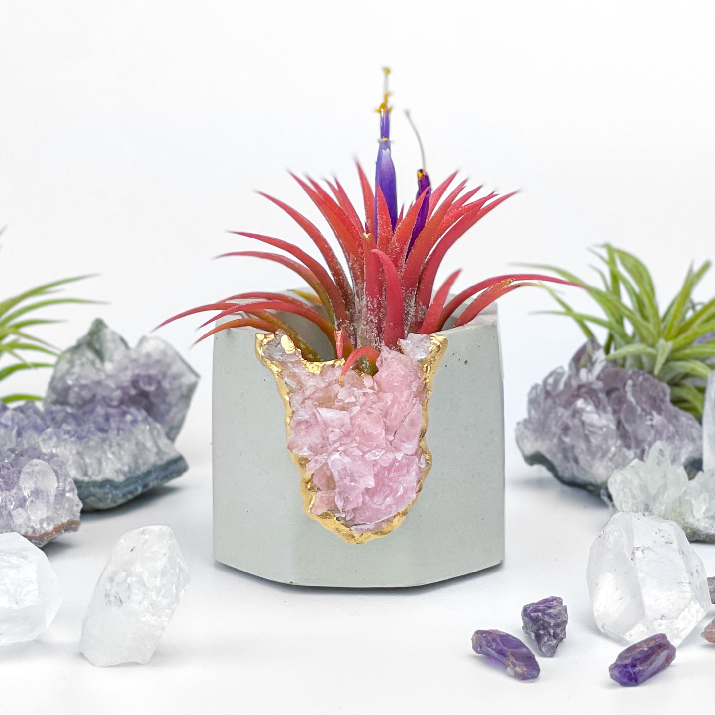 Raw ROSE QUARTZ GEODE PLANTER - Concordia Style Boutique