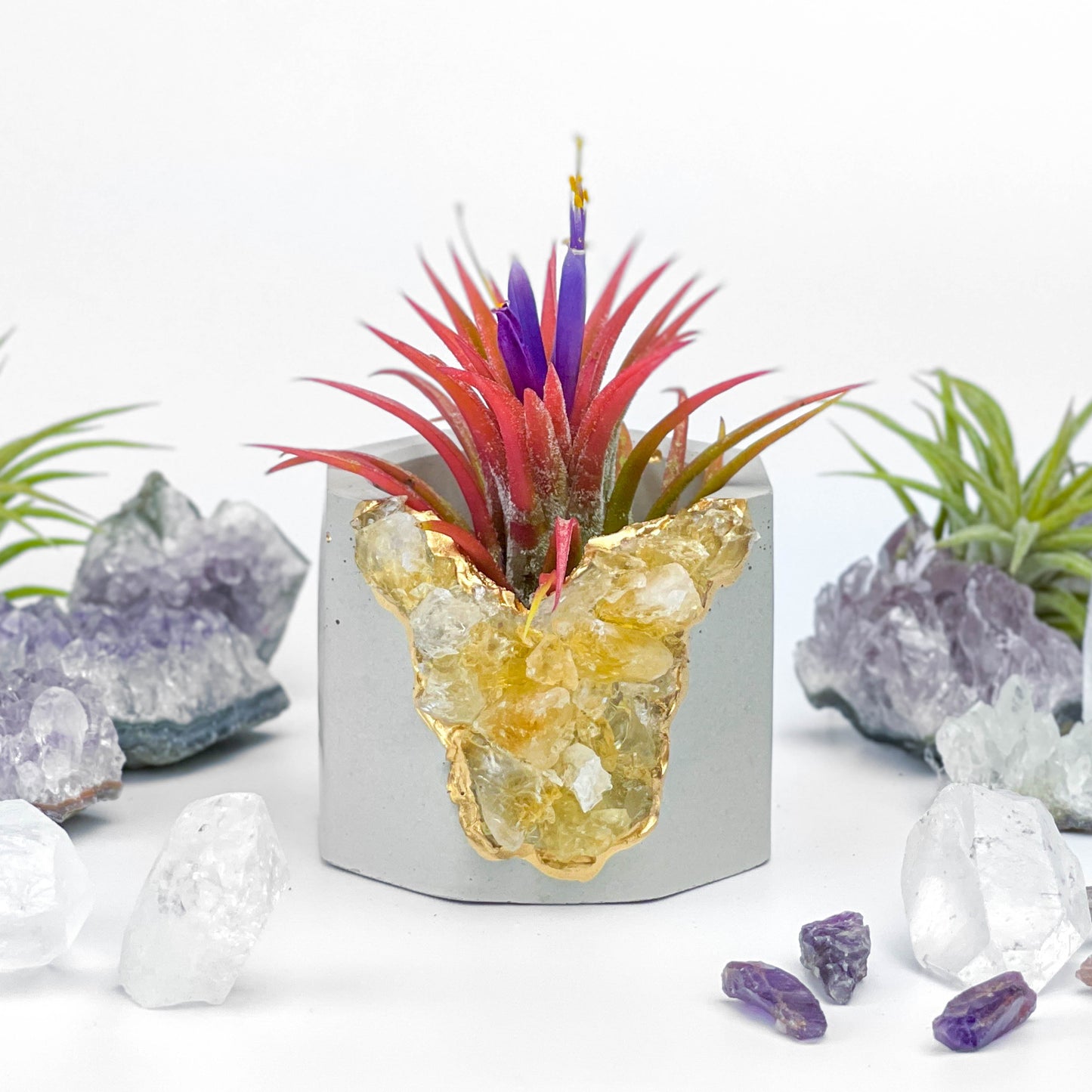 Raw CITRINE GEODE PLANTER - Concordia Style Boutique