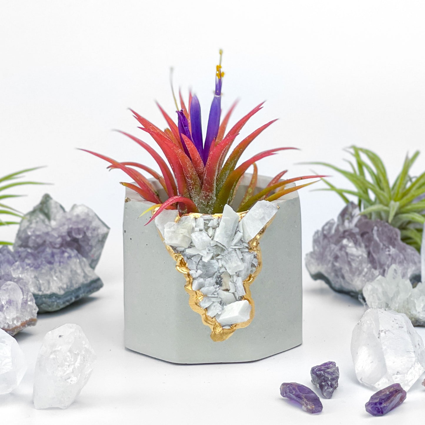 RAW MOONSTONE GEODE PLANTER - Concordia Style Boutique