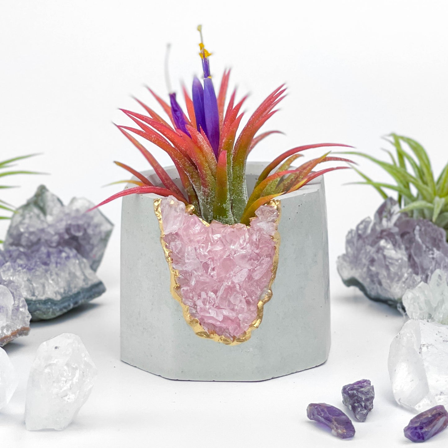 ROSE QUARTZ GEODE PLANTER - Concordia Style Boutique
