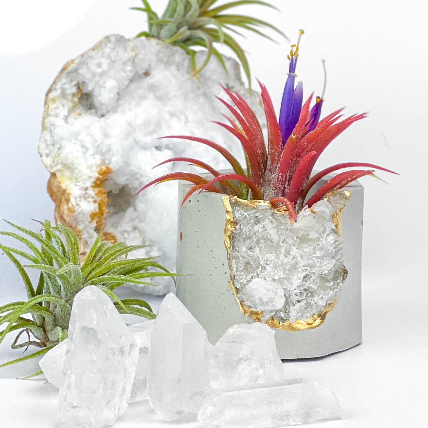 Raw CLEAR QUARTZ GEODE PLANTER - Concordia Style Boutique