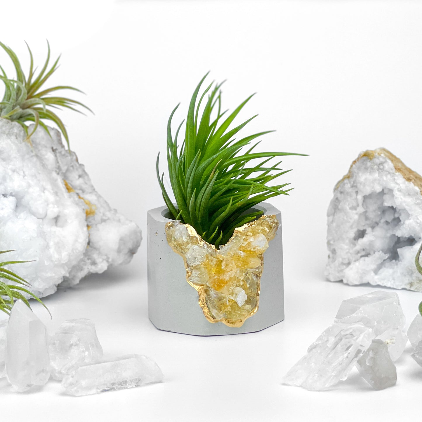 Raw CITRINE GEODE PLANTER - Concordia Style Boutique