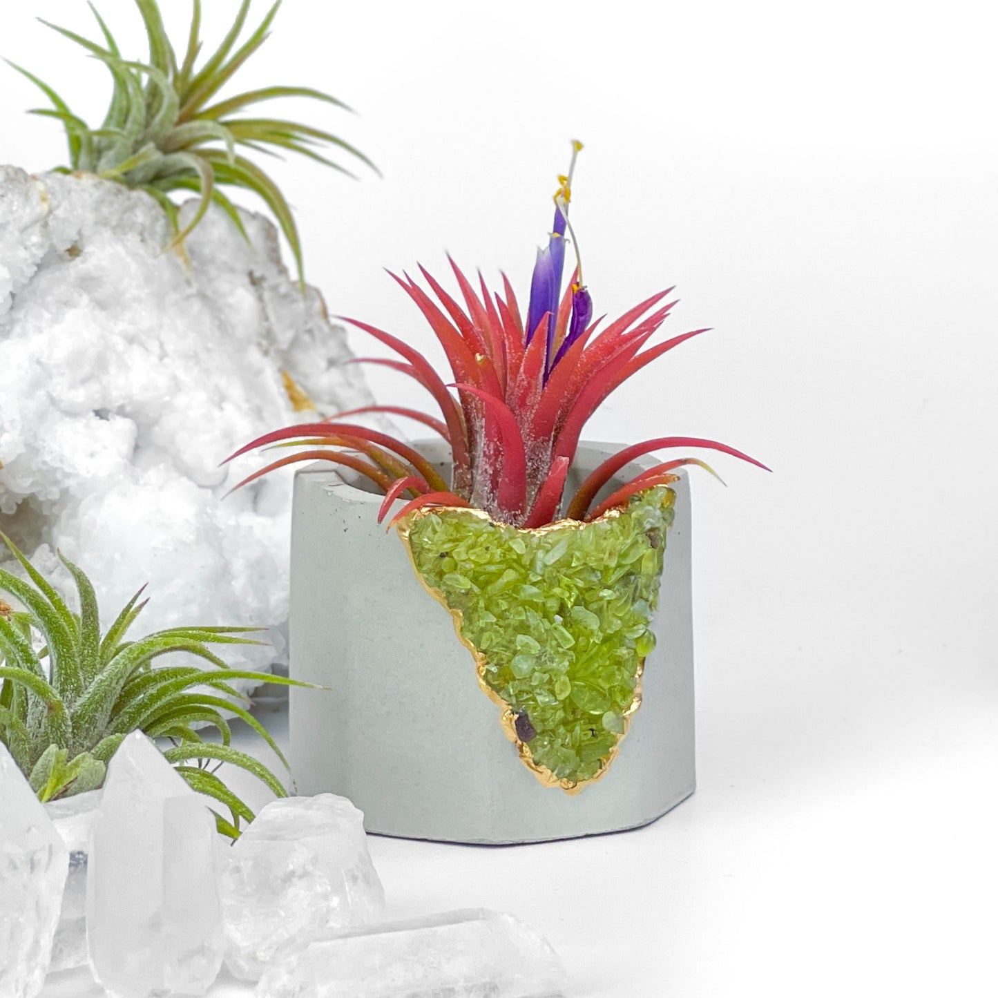 GREEN PERIDOT GEODE PLANTER - Concordia Style Boutique