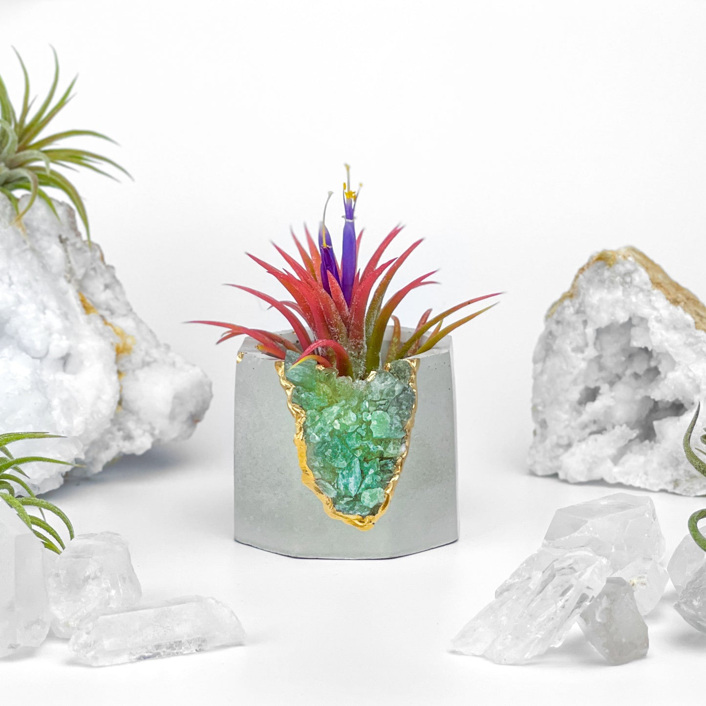 GREEN APATITE GEODE PLANTER - Concordia Style Boutique