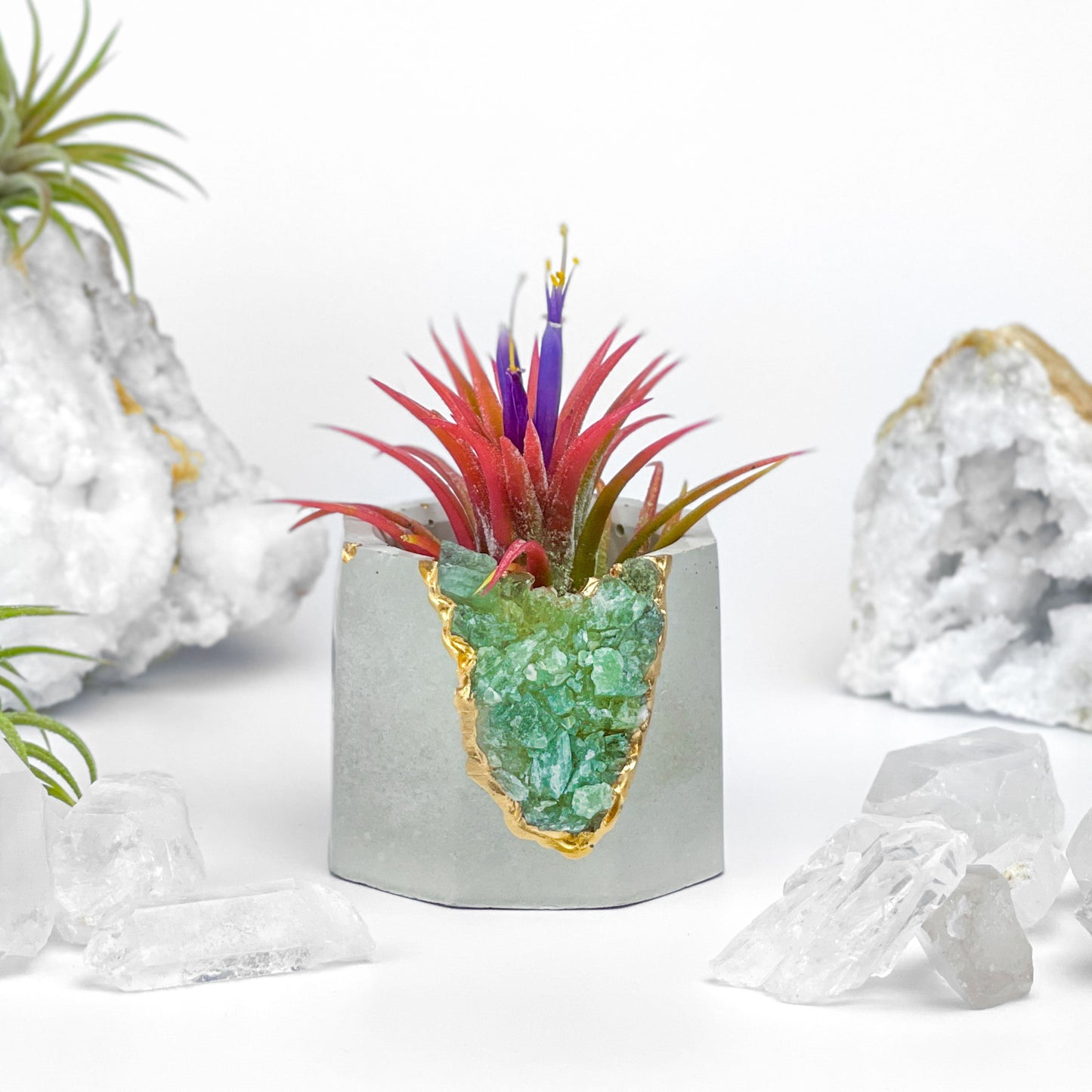 GREEN APATITE GEODE PLANTER - Concordia Style Boutique