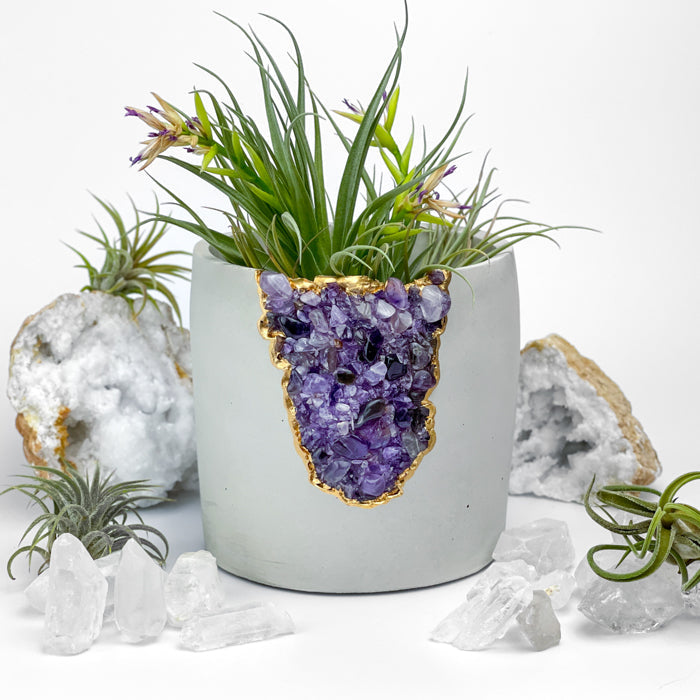 N°5 AMETHYST AURA PLANTER - Concordia Style Boutique