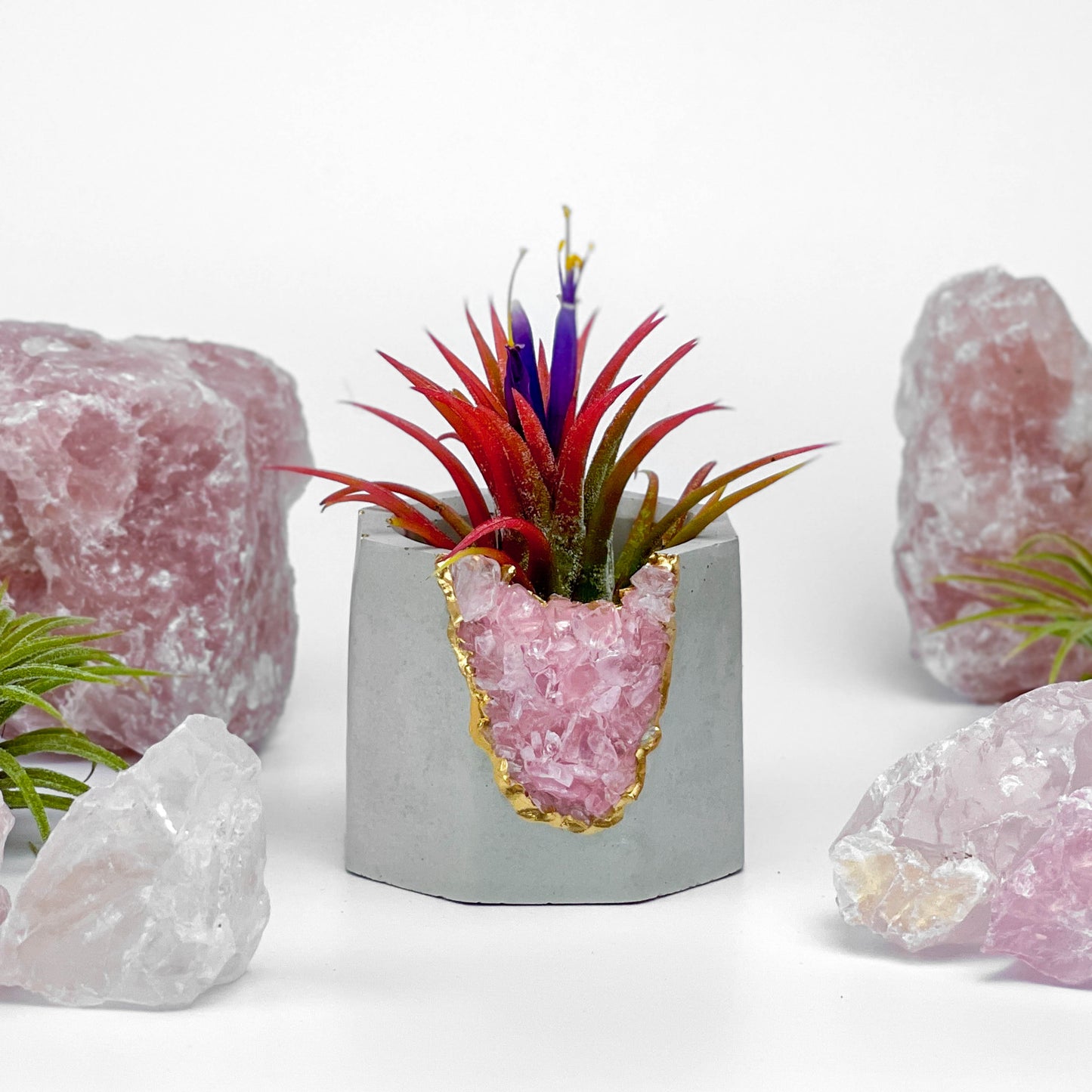 ROSE QUARTZ GEODE PLANTER - Concordia Style Boutique