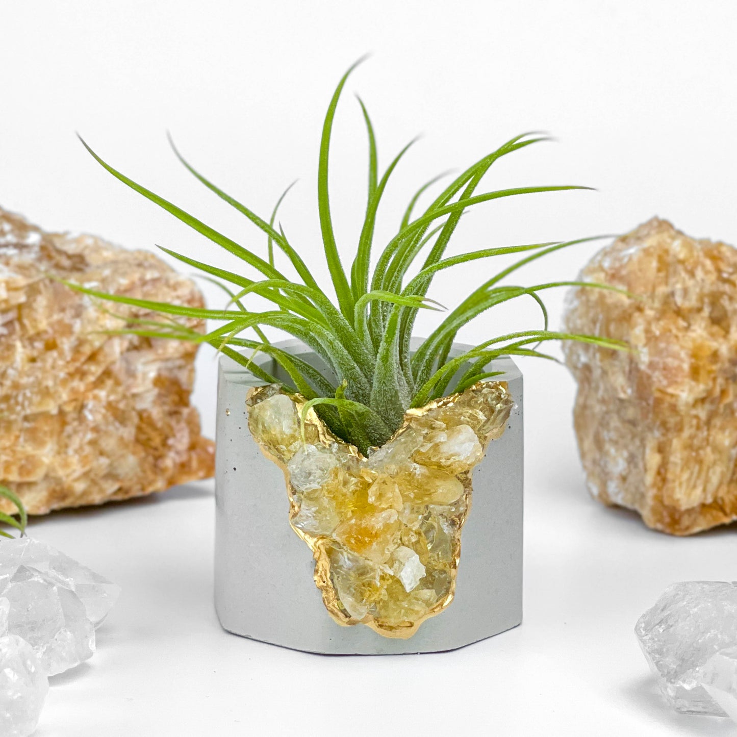 Raw CITRINE GEODE PLANTER - Concordia Style Boutique