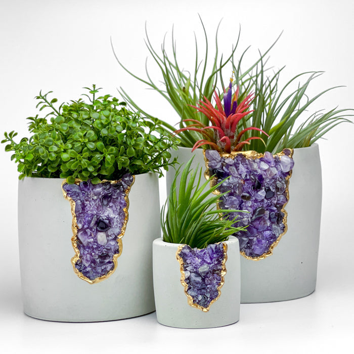 N°5 AMETHYST AURA PLANTER - Concordia Style Boutique