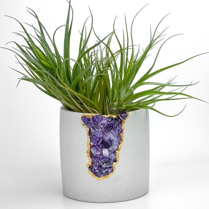 N°4 AMETHYST AURA PLANTER - Concordia Style Boutique