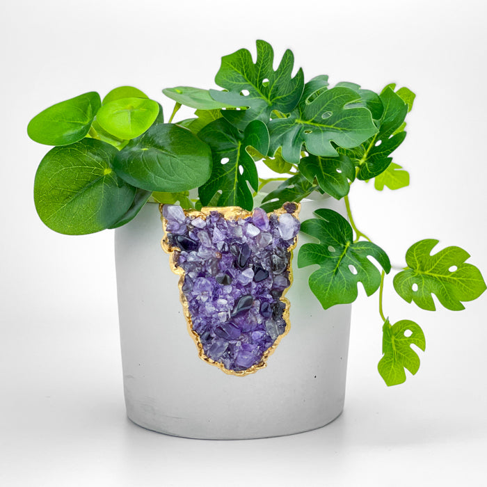 N°5 AMETHYST AURA PLANTER - Concordia Style Boutique