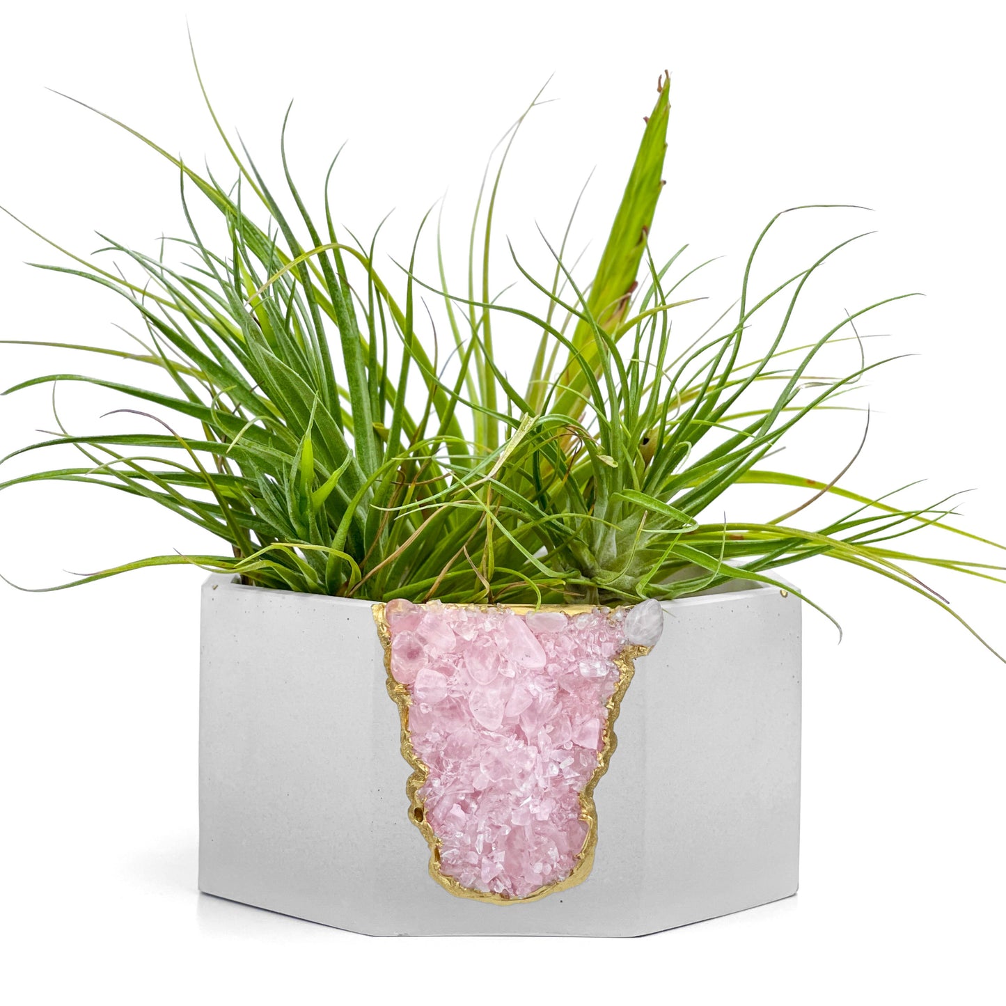 ROSE QUARTZ GEODE PLANTER - Concordia Style Boutique