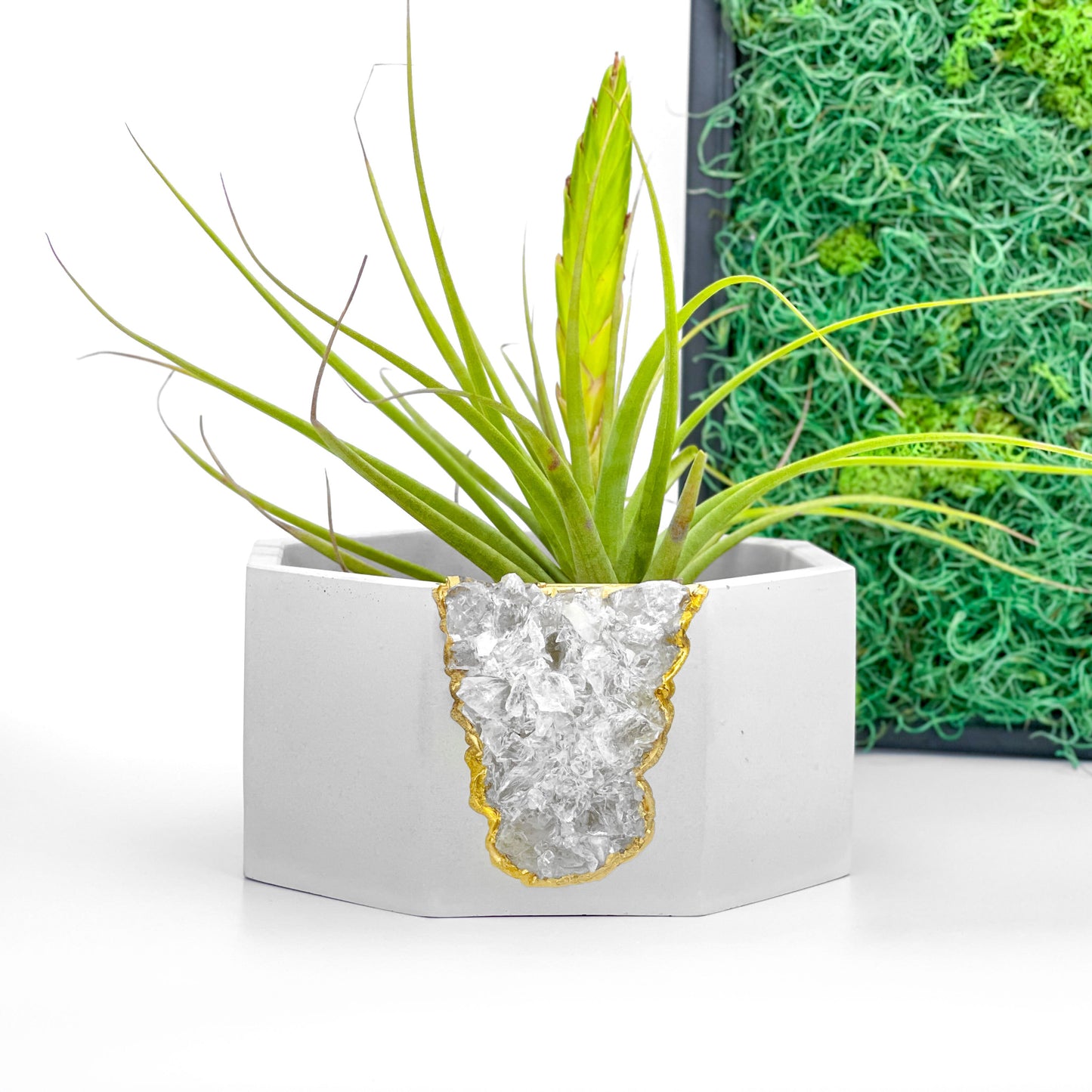 Raw CLEAR QUARTZ GEODE PLANTER - Concordia Style Boutique