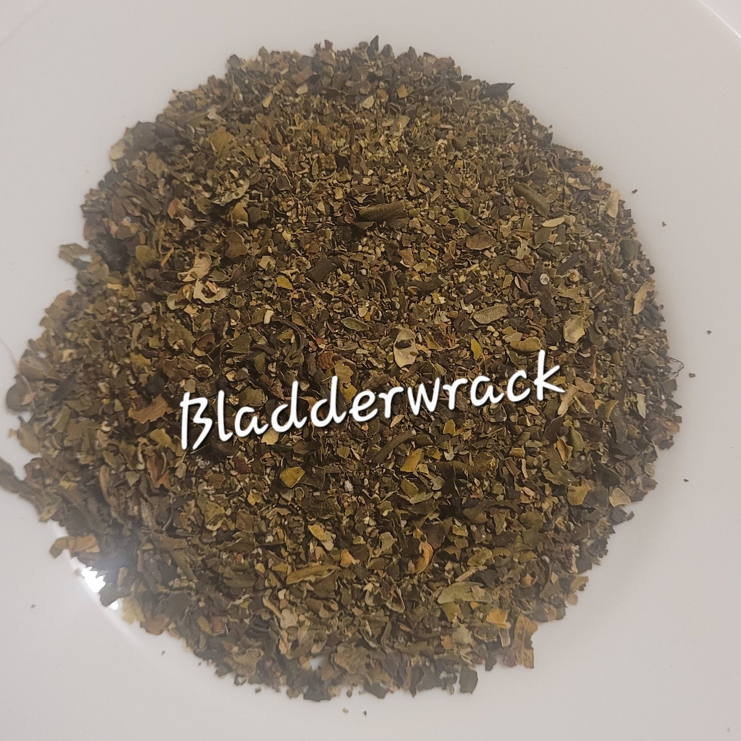 Bladderwrack | Thyroid Health & Metabolic Support