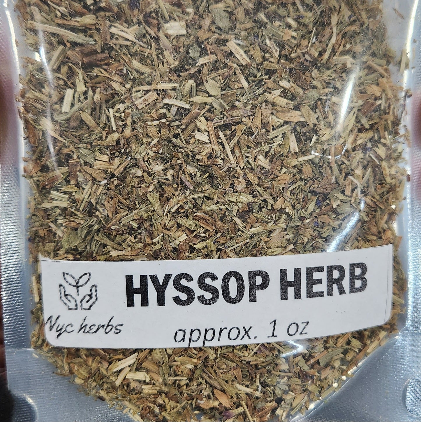 Hyssop | Respiratory Cleanse & Immune Support