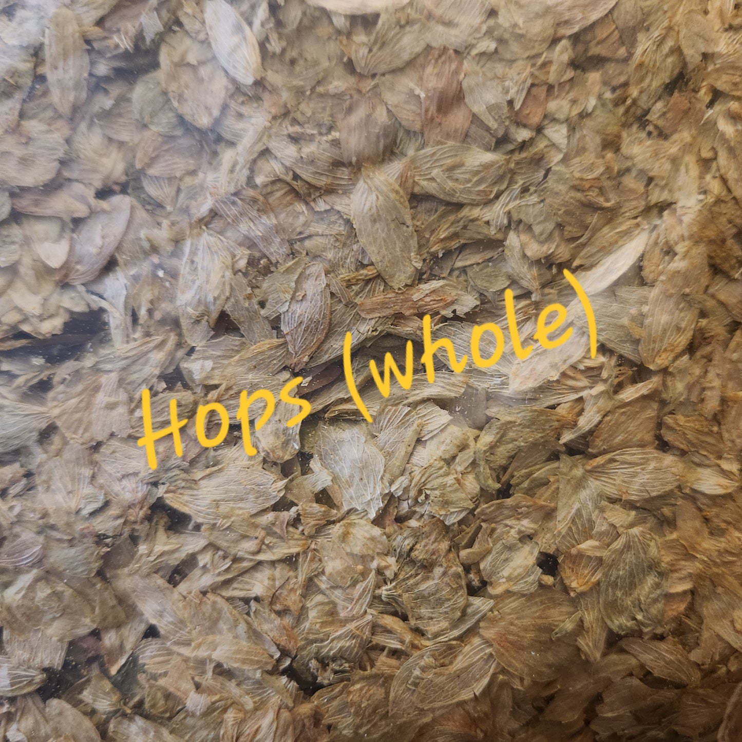 Hops | Relaxation & Sleep Support