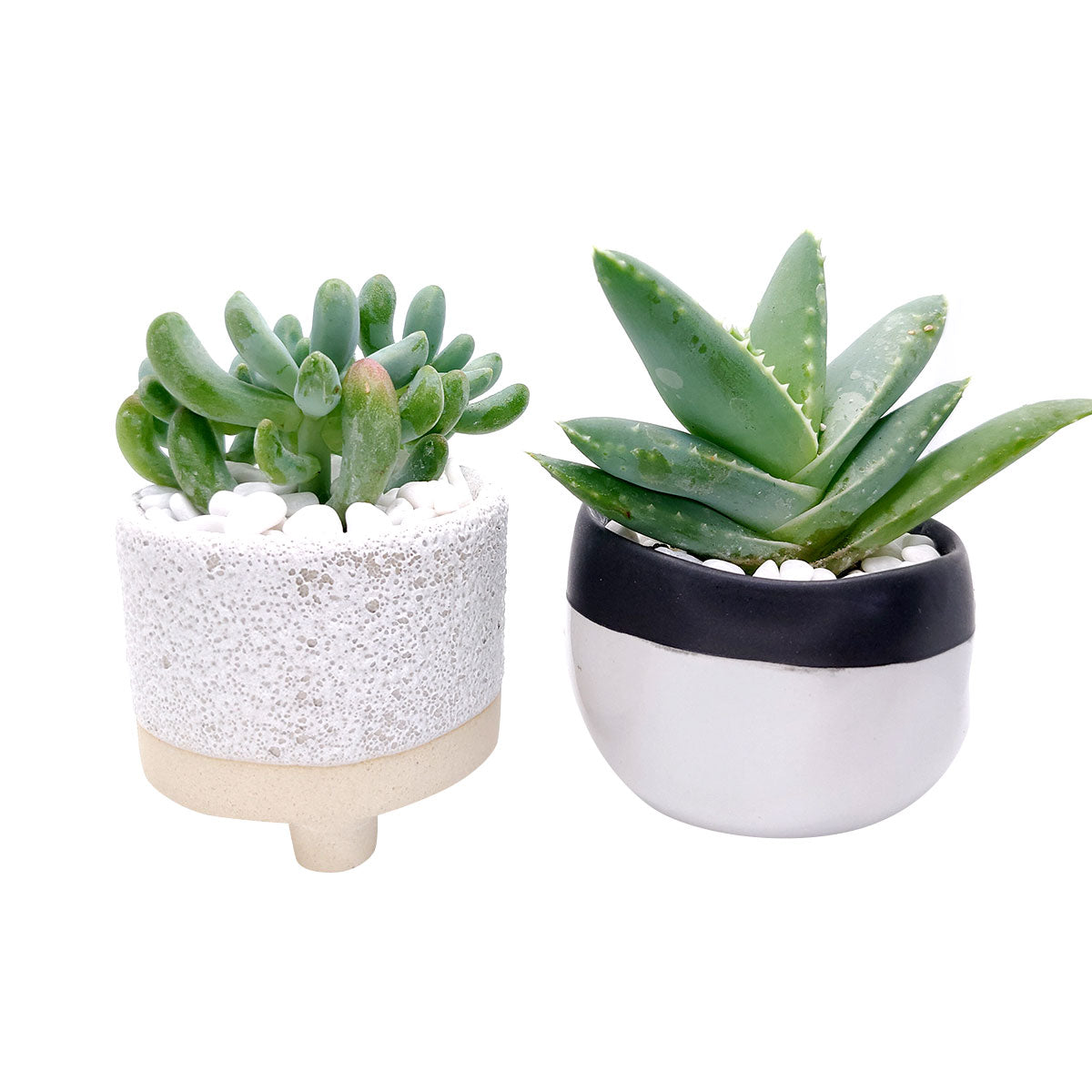 2 inch Footed Pot