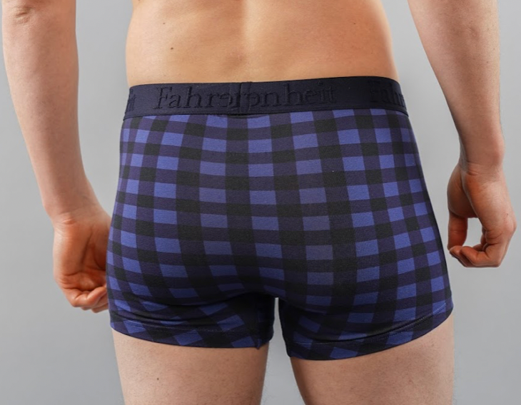 Grant Trunk/ Blue Buffalo Check - Concordia Style Boutique