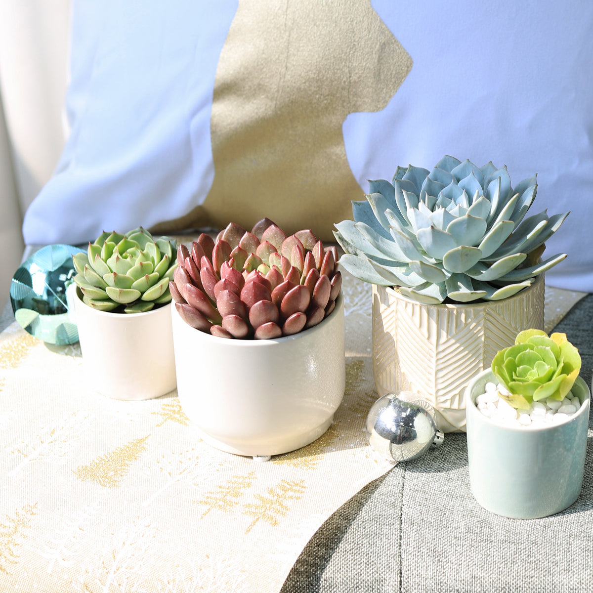 Whitcomb White Ceramic Pot
