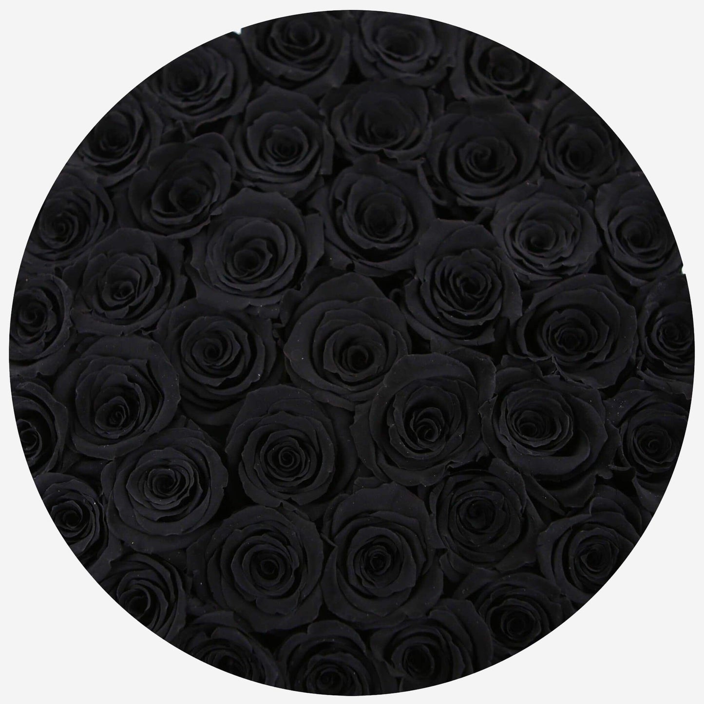 Supreme Gold Box | Black Roses