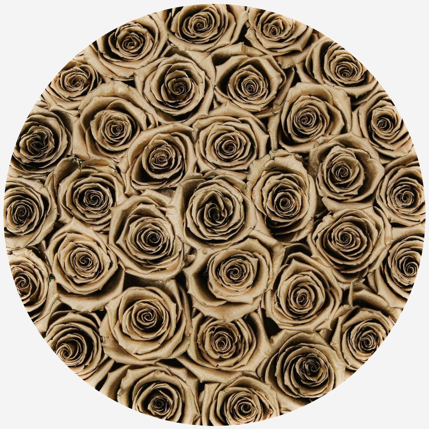 Supreme Black Box | 24K Gold Roses