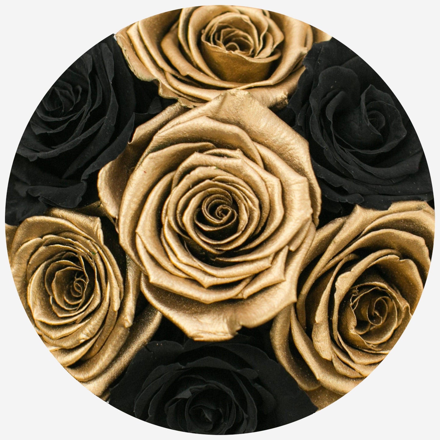 Basic White Box | Black & Gold Roses