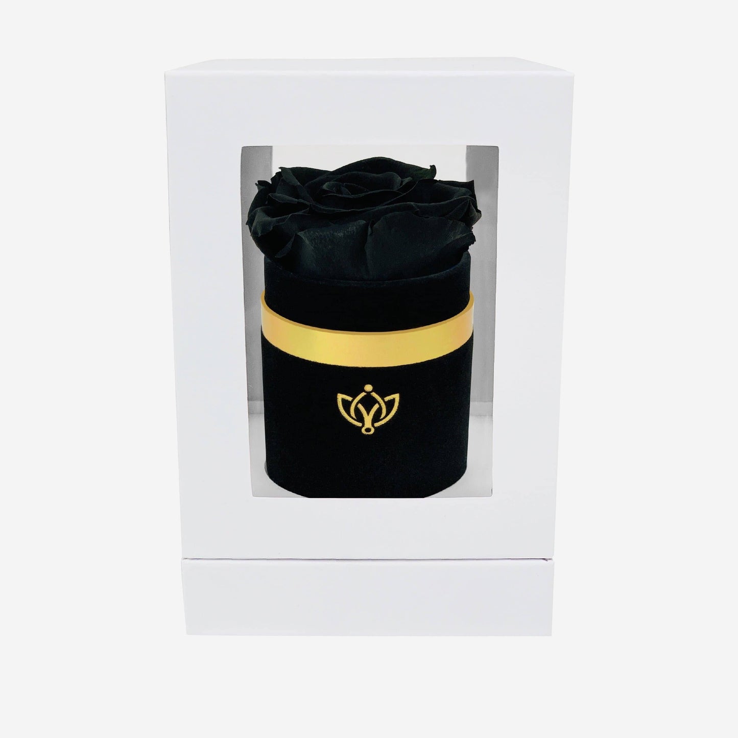 Single Black Suede Box | Black Rose
