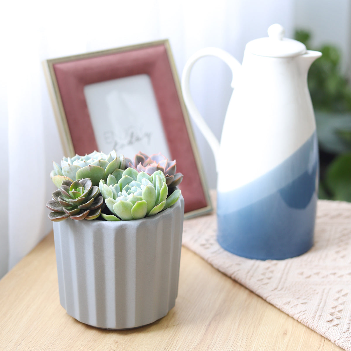 Succulent Arrangement in Grey Ceramic Faux Cement Planter