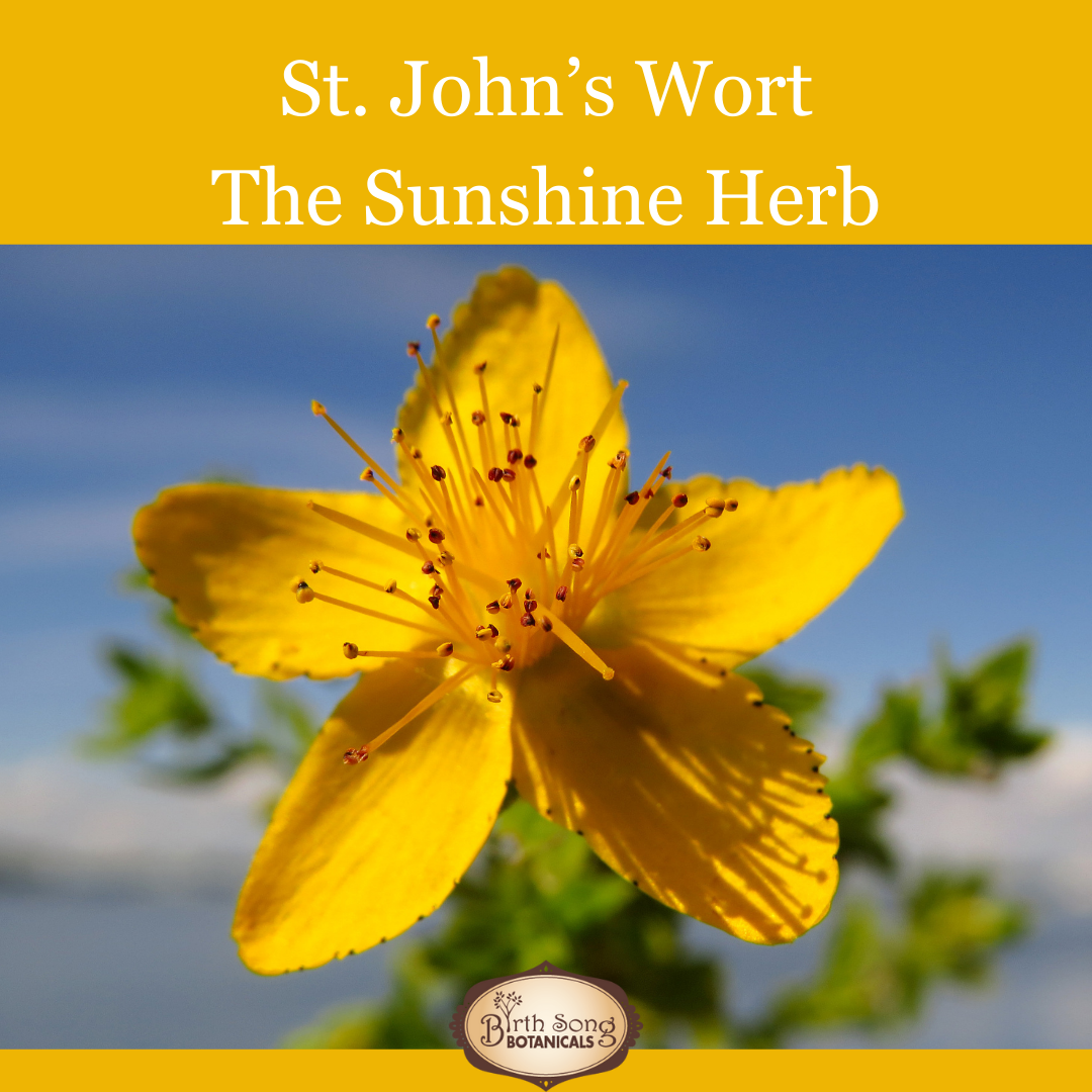 Joyful Journey Herbal Tincture: A Mood Support Supplement to Promote a Positive Out Look* with St. John's Wort, Hawthorn and Lemon Balm 1 oz. - Concordia Style Boutique