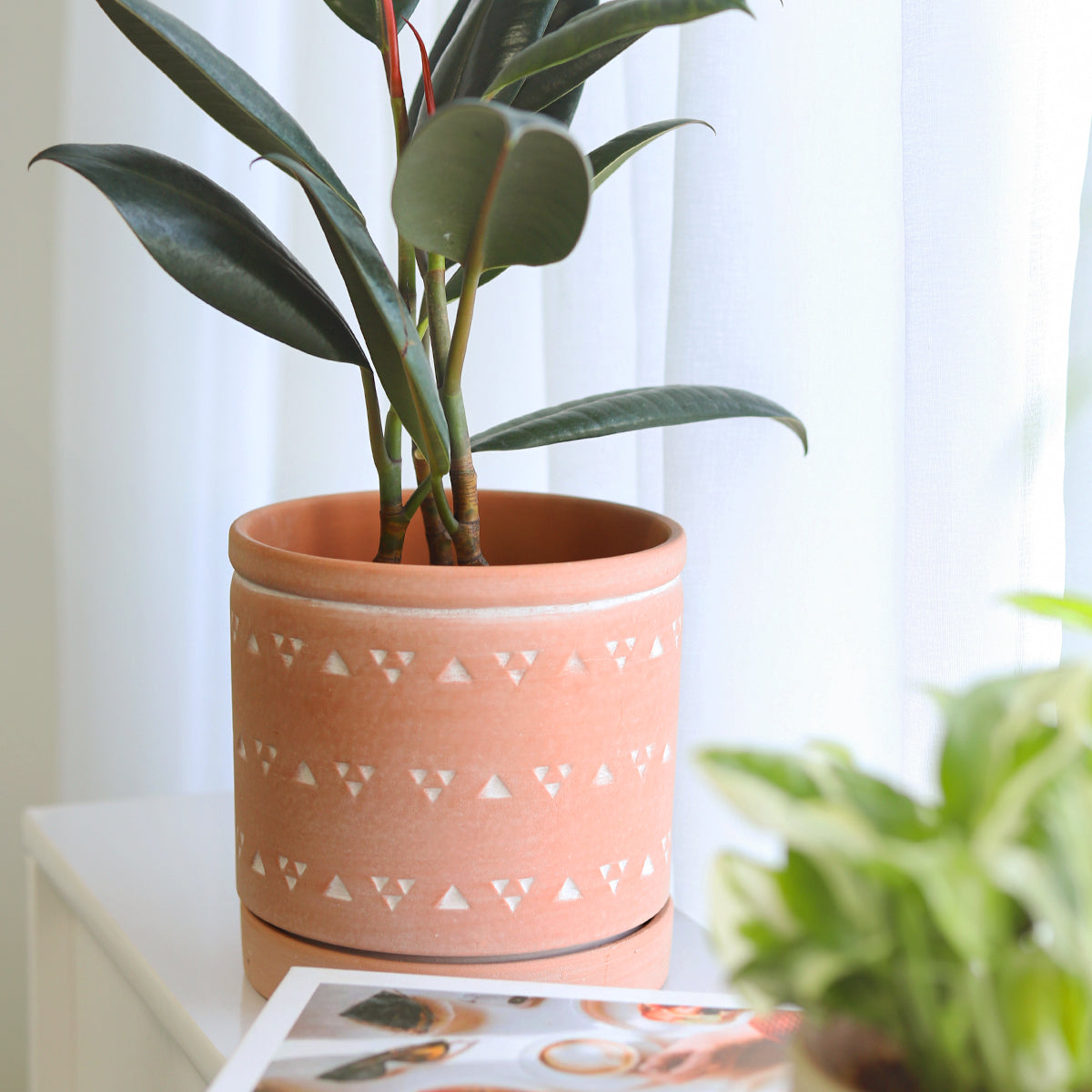 6 inch Cylinder Terracotta Clay Geometric Triangle Pattern Planter