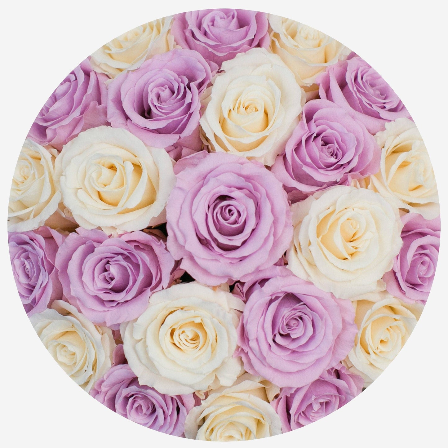 Classic Light Pink Suede Dome Box | White & Pink Roses