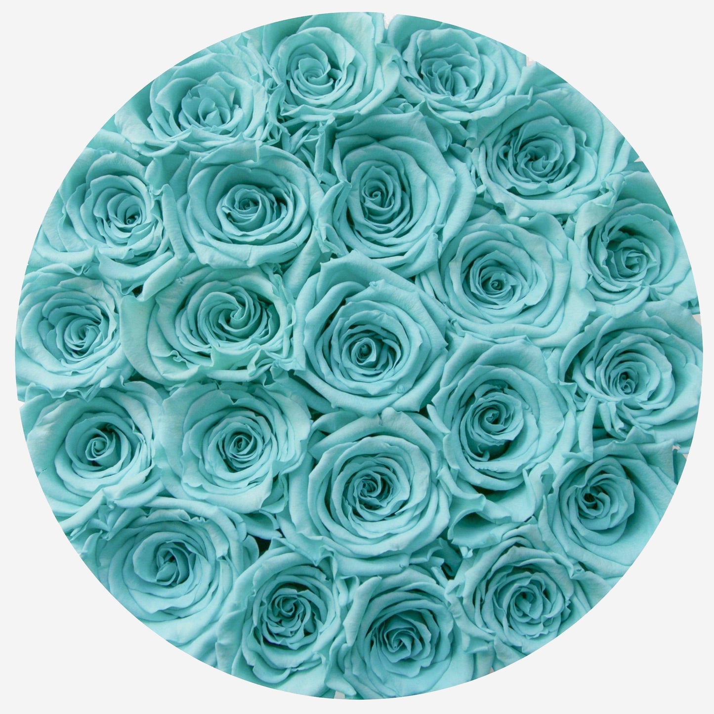 Classic Black Box | Turquoise Roses