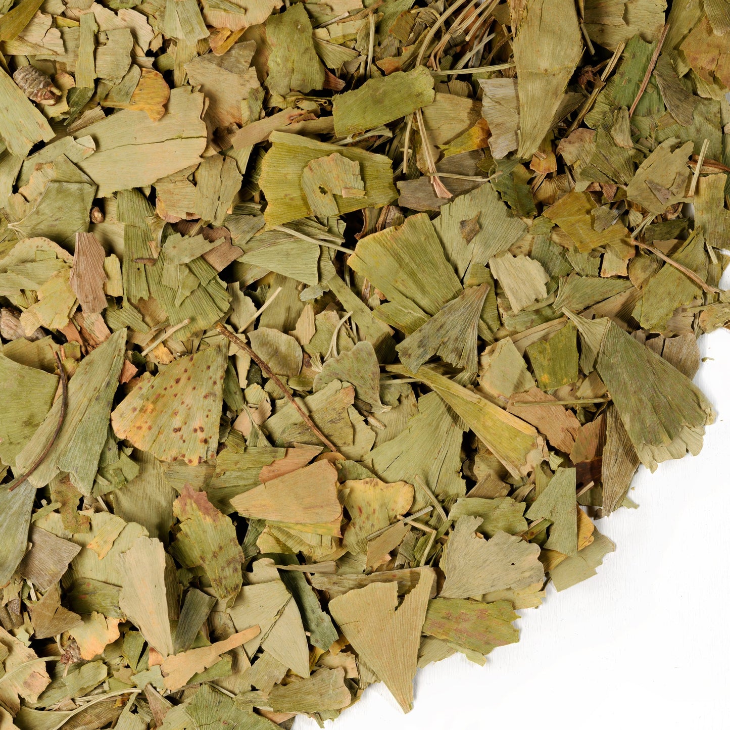 Organic Ginkgo Leaf Tea – 200g Premium Ginkgo Biloba Leaves with Sea Buckthorn - Concordia Style Boutique