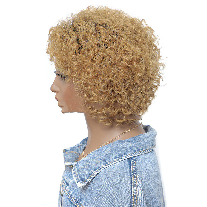 Small Curly Real Hair Wig, Gradual Fluffy Head High-end - Concordia Style Boutique