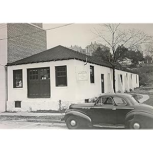 Sloth Daily Planner and Note Pad - Concordia Style Boutique