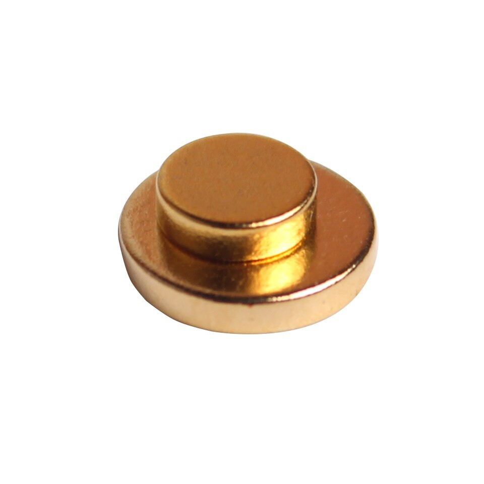Auricular Therapy Quit Smoking Magnet - Concordia Style Boutique
