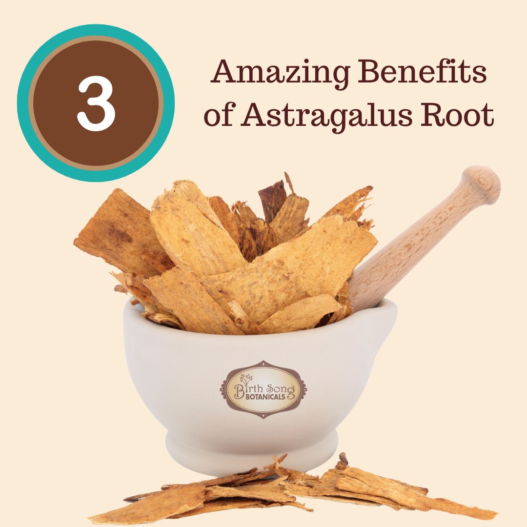 Astragalus Root Complex Immune Support Supplement* - Concordia Style Boutique